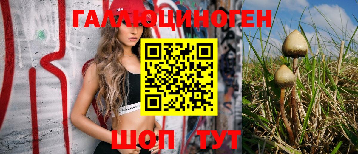Псилоцибиновые грибы GOLDEN TEACHER  Псилоцибиновые грибы Cubensis  Кимры  Вход с VPN 